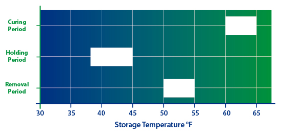 Graph illustrating the ideal storage temperature ranges for preventing common potato diseases. Curing Period (60–65°F), Holding Period (38–45°F) and Removal Period (50–55°F).