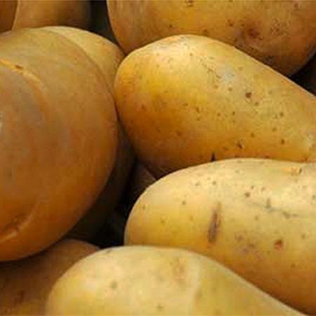 FruitGard™ Potato Storage Treatment